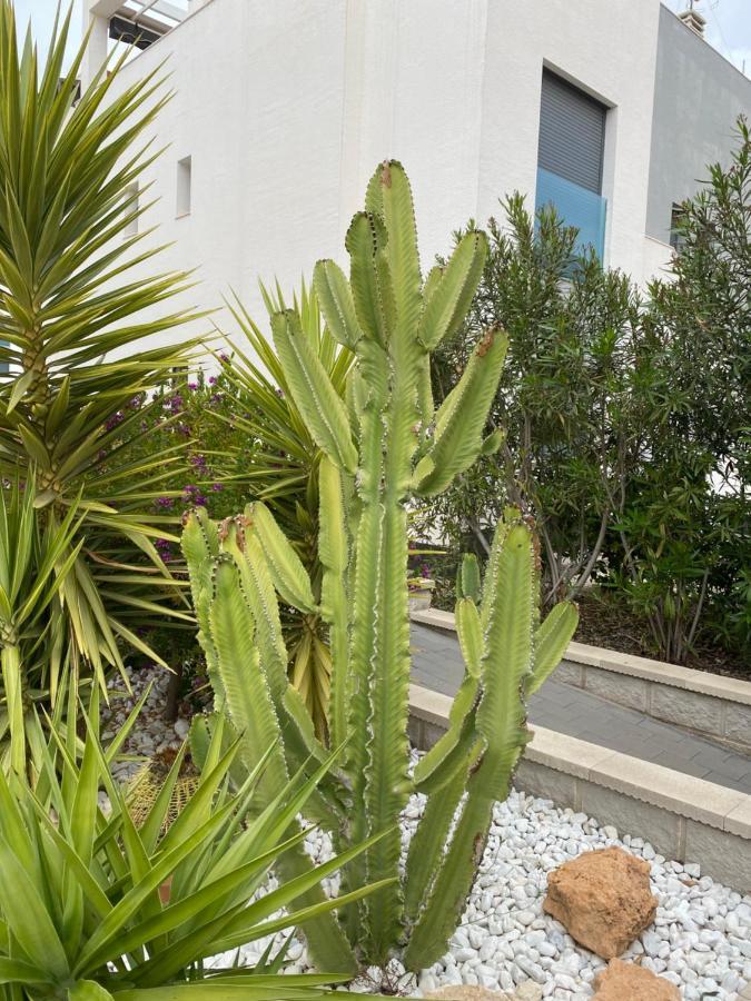 Oasis Beach Apartments Alicante Exterior foto